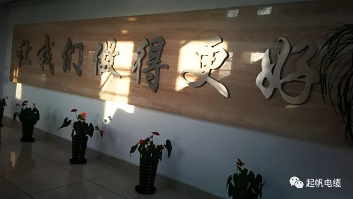 第六届金山区区长质量奖公布，28圈电缆周供华榜上有名